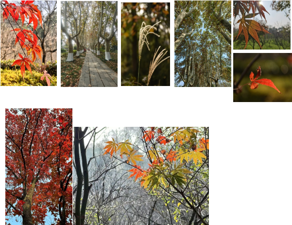 1735623043106846VlWL.png 20241231132853.png